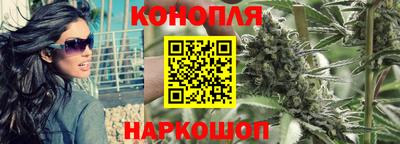 прущие грибы Рыбинск