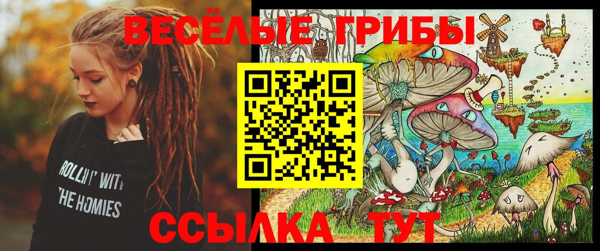 Ахтубинск  купить наркоту  Вход с VPN  Псилоцибиновые грибы Cubensis 