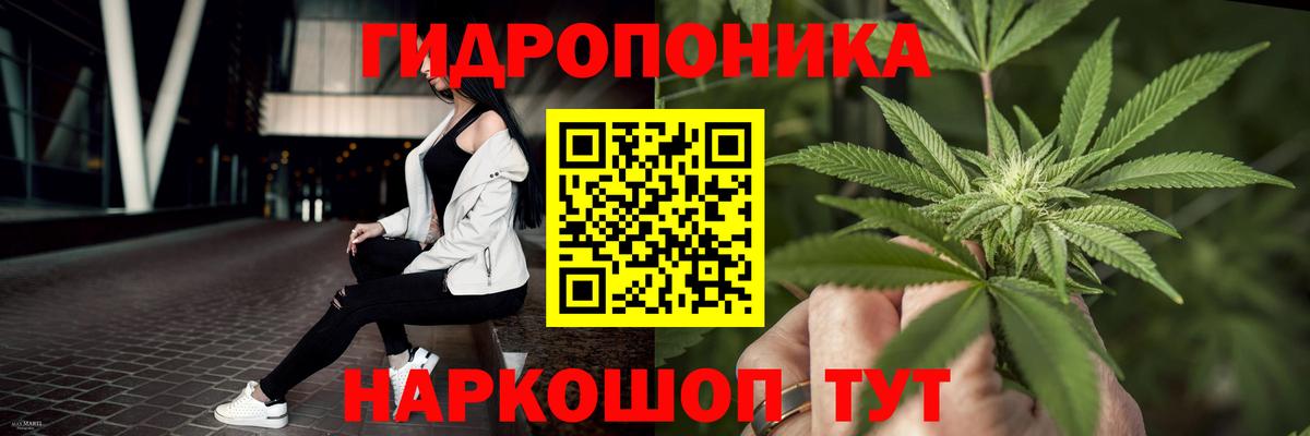 Шишки марихуана THC 21% Ахтубинск
